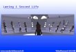 Learning in Second Life