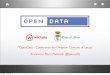 Wikitalia - Comune di Lecce Introduzione OpenData Conferenza Servizi Dirigenti
