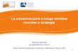 La conservazione a lungo termine : ricerche e strategie / Giuliana Sgambati