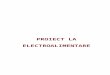 PROIECT LA ELECTROALIMENTARE.doc