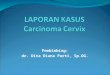 Lapsus CA Servix