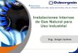 Instalaciones Internas GN Industrial