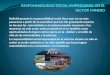 Responsabilidad Social Empresarial en El Sector Minero Ppt
