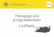 Pedagogiska programbanken- Lathund pp ver_7