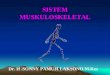 Fisiologi Sistem Muskuloskeletal Dr Sonny