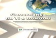 E-Book Governanca de TI e Internet E-Consulting Corp.  2010