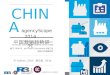 China 2014 AgencyScope - Advertising Agencies