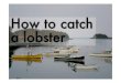 How To Catch A Lobster