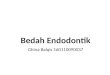 Bedah Endodontik