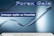 Presentación de Inversión en Forex Gala