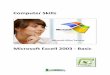 Curs Microsoft Excel 2003 Basic