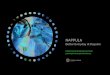 Nappula-projektin loppuraportti 2012