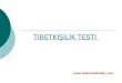 Tibet Kisilik Testi