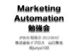Marketing Automation Study