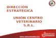 Dirección Estratégica - Unión Centro Veterinario - Msc. Julio Chai