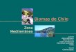 Bioma de Chile Zona Mediterránea