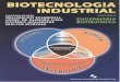 Biotecnologia industrial vol. 2   valter borzani - 1ª ed. pt