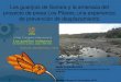 Los guarijios de Sonora y la amenaza de la presa Pilares