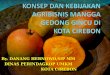 Konsep Kebijakan Agrobisnis Mangga Gedong gincu di Kota Cirebon