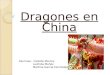 Dragones Chinos