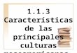 Características de las principales culturas mesoamericanas