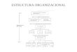Estructura Organizacional(3)