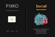 Pikko   social segmentation
