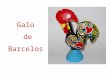 Barcelos rooster