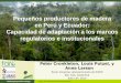 Pequeños productores de madera en Perú y Ecuador: Capacidad de adaptación a los marcos regulatorios e institucionales, Peter Cronkleton, CIFOR
