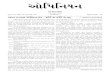 Gujarati Opinion Newsletter March 2011