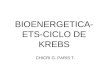 BIOENERGETICA- ETS-CICLO DE KREBS CHICRI G. PARIS T