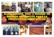 ELABORACIÓN, USO y MANEJO DE ABONOS ORGÁNICOS PARA LA PRODUCCIÓN AGRÍCOLA (5) ABONO DE FRUTAS Y PURÍN DE HIERBA