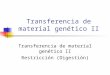 Transferencia de material genético II Restricción (Digestión)