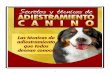 116260432 Copia de Secretos y Tecnicas de Adiestramiento Canino