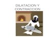 DILATACION Y CONTRACCION. EFECTOS DEL CALOR EN LOS CUERPOS