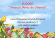 FLOORE Frescas flores de Oriente LUISA FERNANDA RODRIGUEZ MEJIA JOHANA URIBE VELEZ LUIS MIGUEL MARIN IBONE CORREA 20087 FLOORE