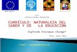 CURRÍCULO: NATURALEZA DEL SABER Y DE LA EDUCACIÓN Sigfredo Chiroque Chunga* Puno, marzo 2012 Curso: CURRÍCULO REGIONAL INTERCULTURAL * E-mail: UNIÓN EUROPEA