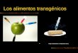 Los alimentos transgénicos Iñigo valdenebro y Alejandro Sanz