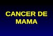 CANCER DE MAMA. EPIDEMIOLOGIA GENERAL LUGAR TOPOGRAFÍA N(%) 1Cérvix19,50634.2 2Mama 9,49016.7 3Piel 6,33011.1 4Ovario 2,012 3.5 5Estómago 1,431 2.5 6Endometrio