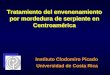Tratamiento del envenenamiento por mordedura de serpiente en Centroamérica Instituto Clodomiro Picado Universidad de Costa Rica