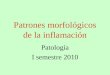 Patrones morfológicos de la inflamación Patología I semestre 2010