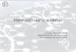 Hemodinámica renal Guido Ulate Montero Departamento de Fisiología Universidad de Costa Rica