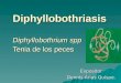 Diphyllobothriasis Diphyllobothrium spp Tenia de los peces Expositor Dennis Arias Quispe