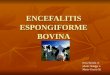 ENCEFALITIS ESPONGIFORME BOVINA Eva Chomba A. Sheila Hidalgo L. Mario Venero M