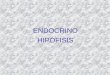 ENDOCRINO HIPÓFISIS RESUMEN PREGUNTAS ENDOCRINO (11/AÑO) HIPÓFISIS (1/AÑO) TIROIDES (2-3/AÑO) PARATIROIDES (0-1/ AÑO) SUPRARRENALES (2-3/ AÑO) TUMORES