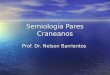 Semiología Pares Craneanos Prof. Dr. Nelson Barrientos