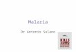 Malaria Dr Antonio Solano. Objetivos Exponer los aspectos mas relevantes de la epidemiología mundial y regional de la malaria Listar las características