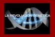 LA REVOLUCIÓN GENÉTICA TEMA 1. 1. LA HISTORIA DE LA GENÉTICA Mendel : los genes eran factores hereditarios que determinaban las características externas