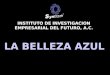 LA BELLEZA AZUL INSTITUTO DE INVESTIGACION EMPRESARIAL DEL FUTURO, A.C