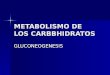 METABOLISMO DE LOS CARBBHIDRATOS GLUCONEOGENESIS